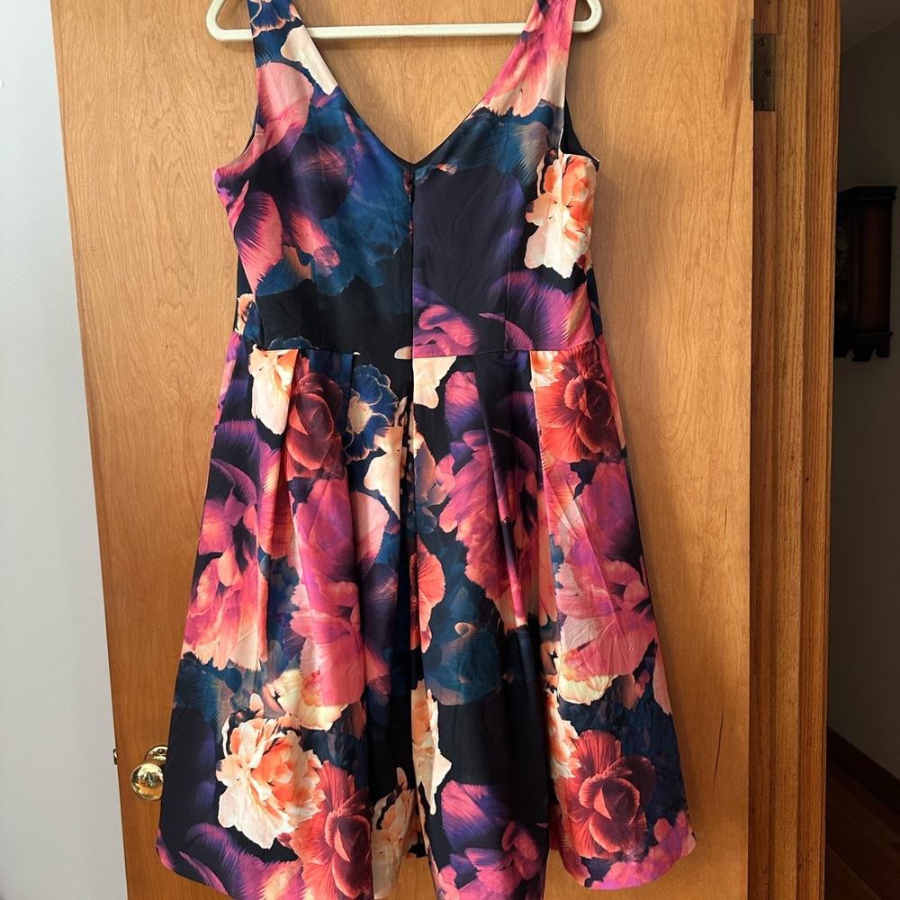 City Chic Sleeveless Floral Fit-and-Flare Mini Dress in Black and Rose - Picture 4 of 6